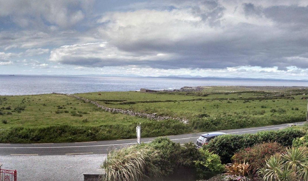 Orchid House Bed & Breakfast主图