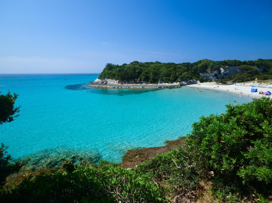 Plage du Petit Sperone景点图片