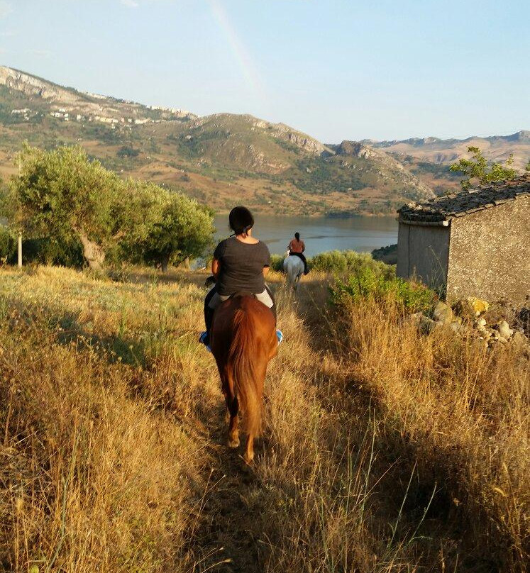 Amico Cavallo景点图片