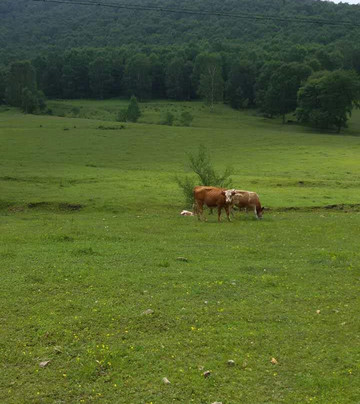美林谷凯莱度假酒店主图