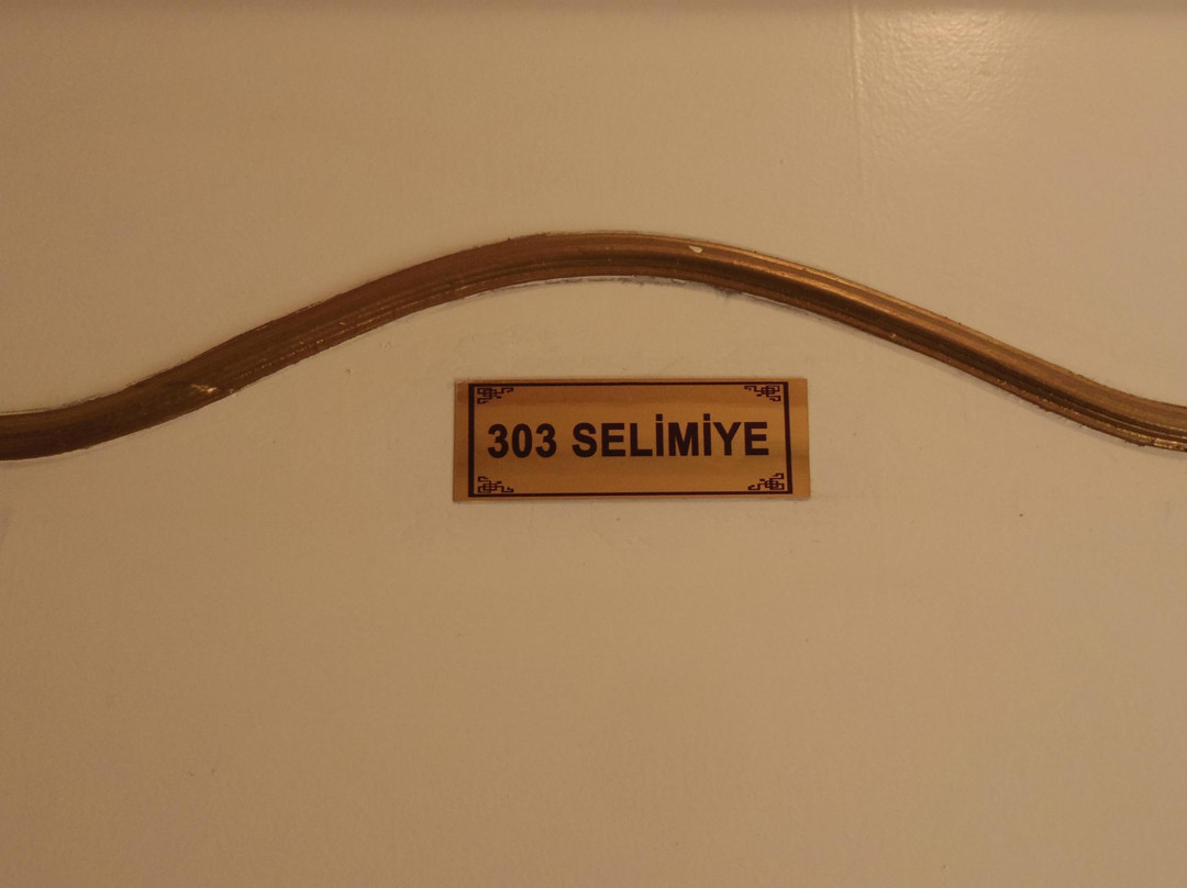 Antik Hotel Edirne主图