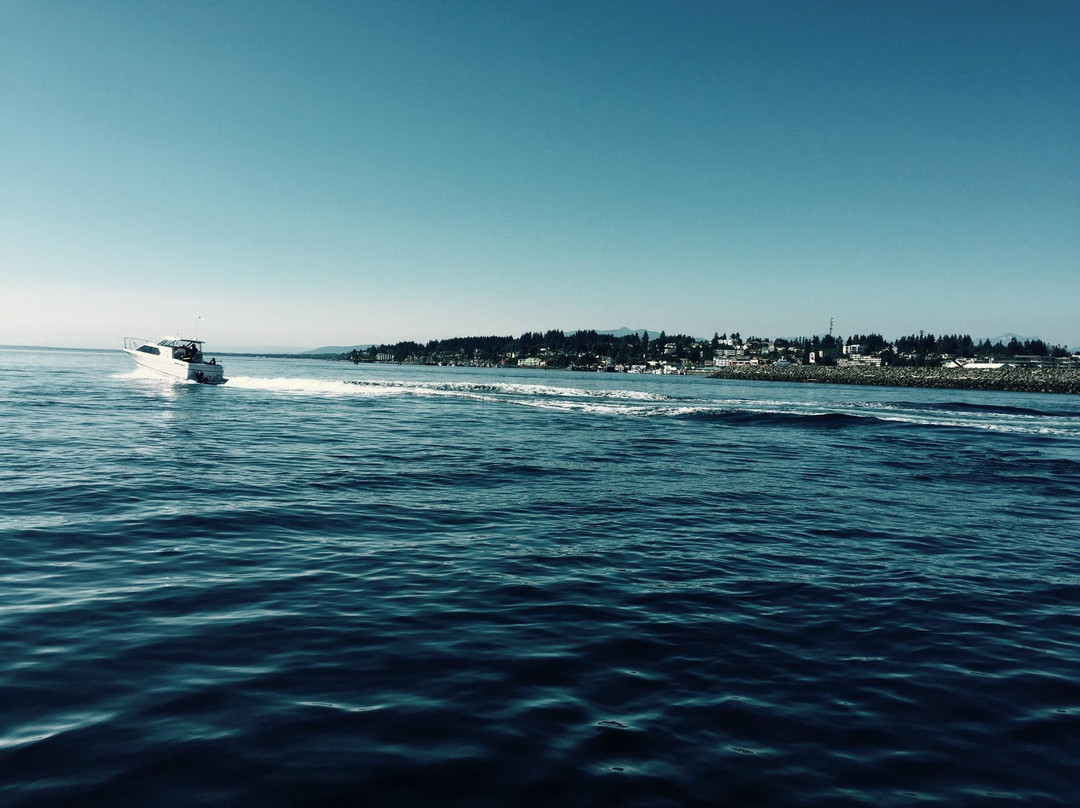 Campbell River Whale Watching and Adventure Tours-坎贝尔里弗必去景点