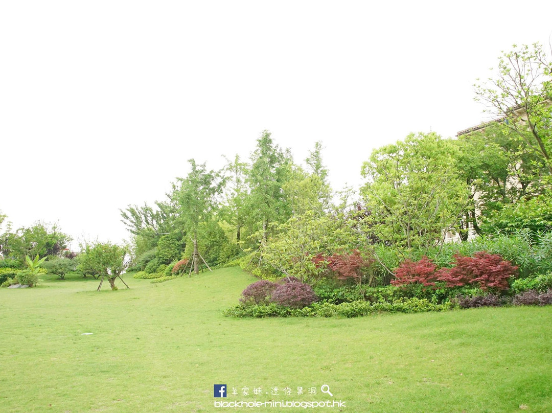 崇明金茂凯悦酒店主图