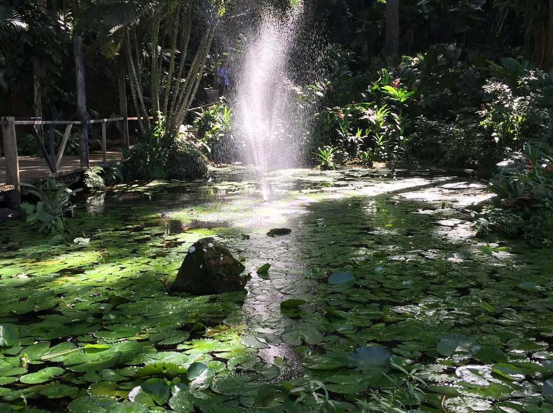 Fiji Eco Tours-纳迪市必去景点
