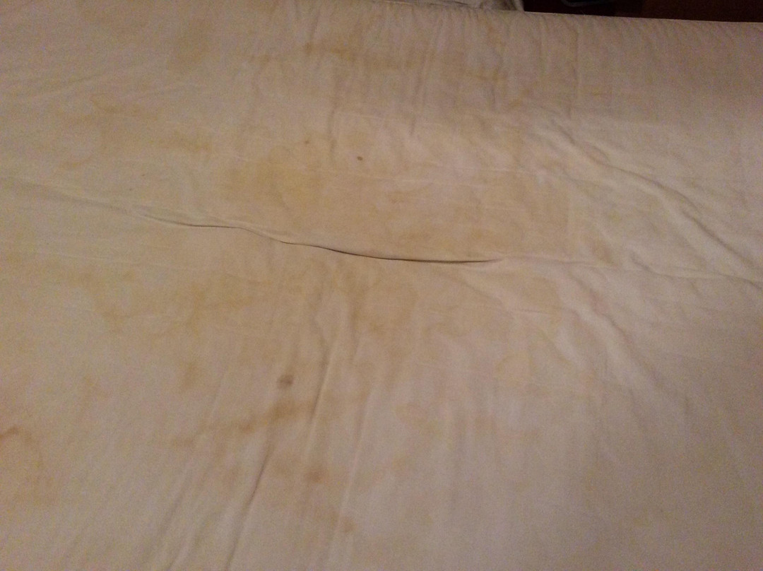 Hotel Szypowski主图