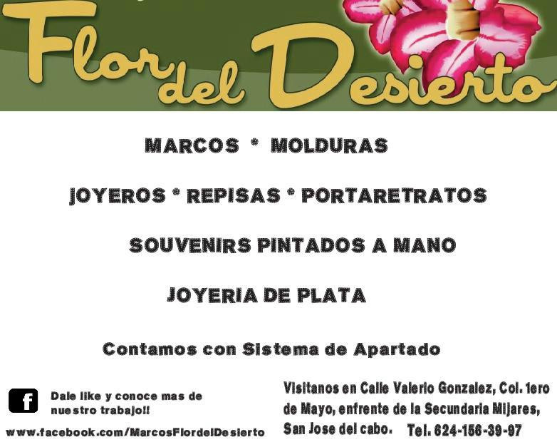 Flor Del Desierto-圣何塞卡波必去景点