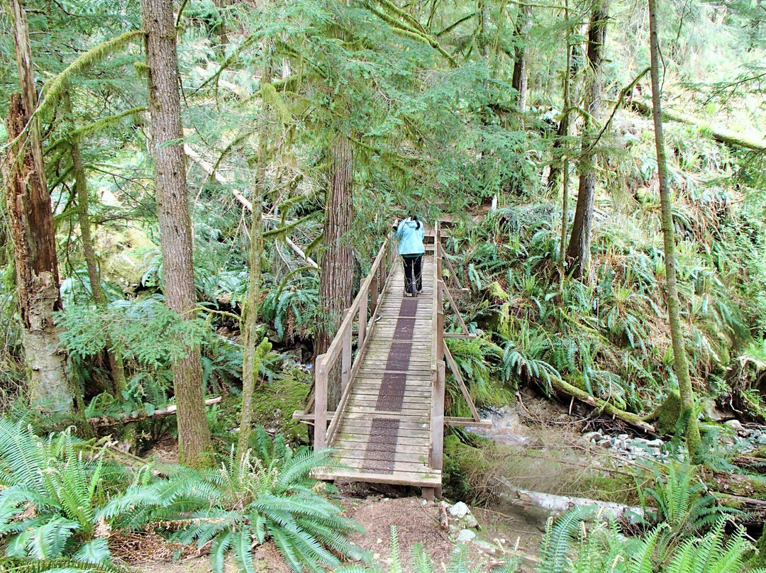 Surge Narrows Provincial Park-Surge Narrows必去景点