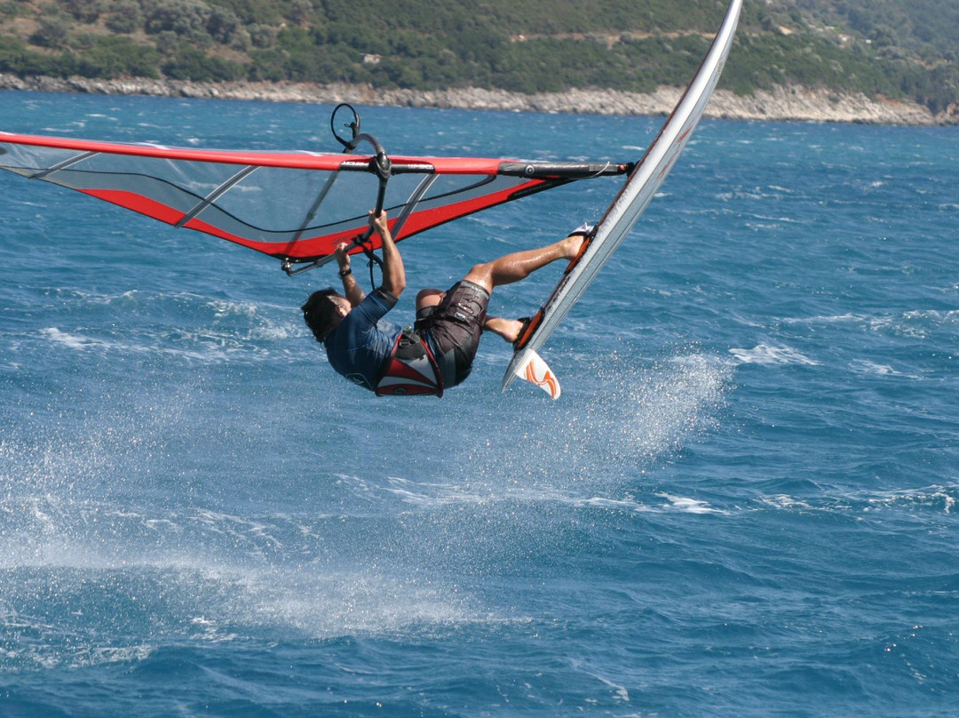 Flying Fish Sailing-莫斯曼必去景点