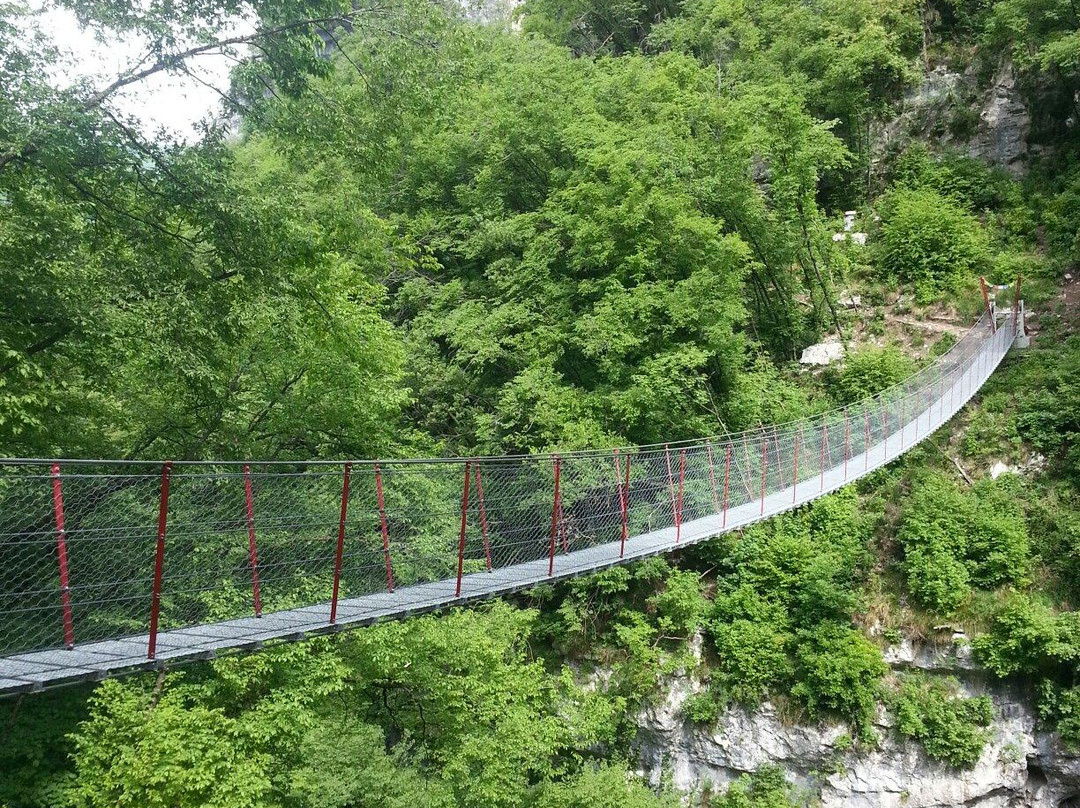 Tibetano Bridge景点图片