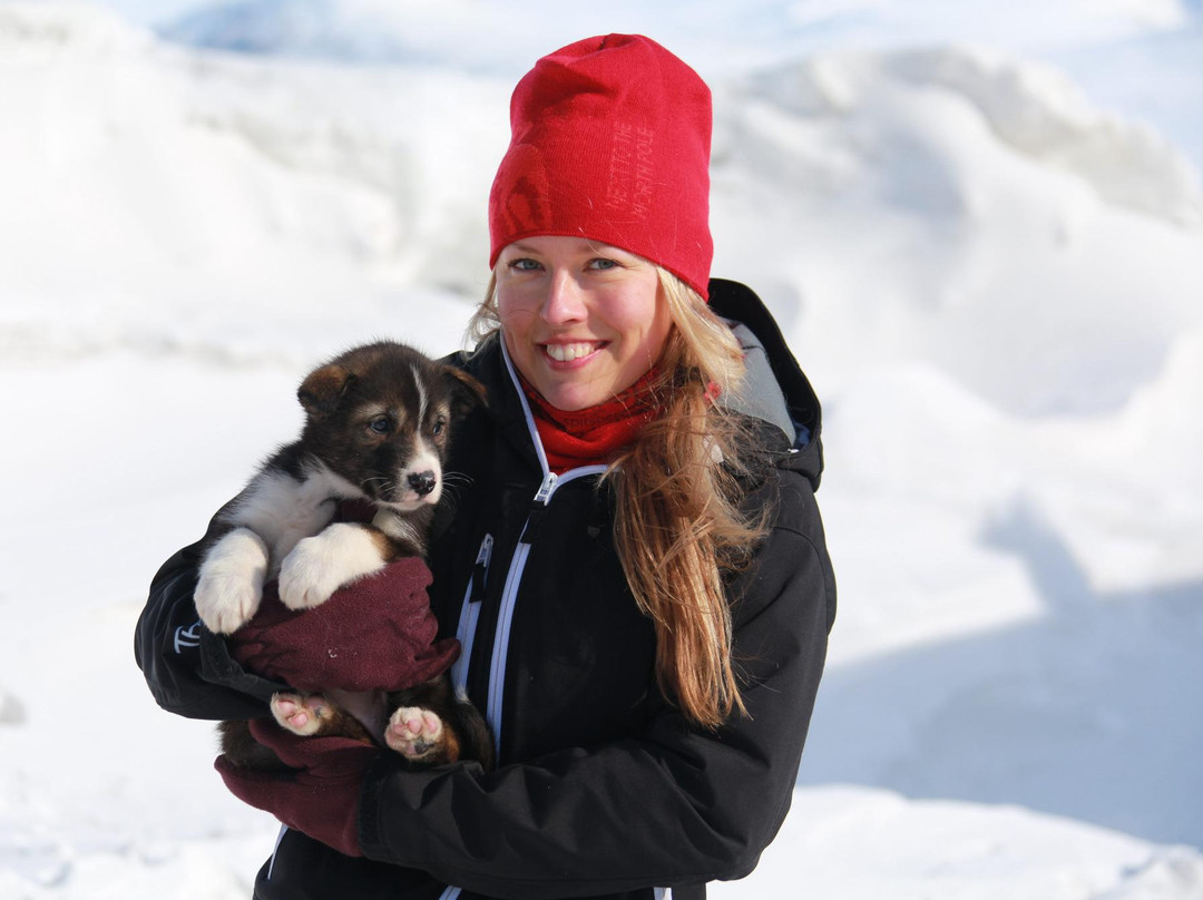 Green Dog Svalbard-朗伊尔城必去景点