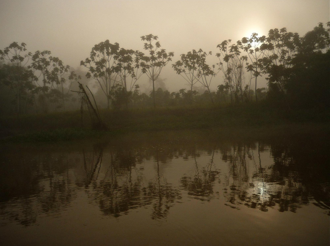 Jungle Amazone Adventure景点图片