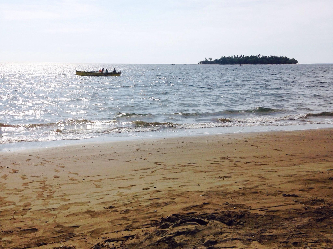 The Harvest Beach Resort