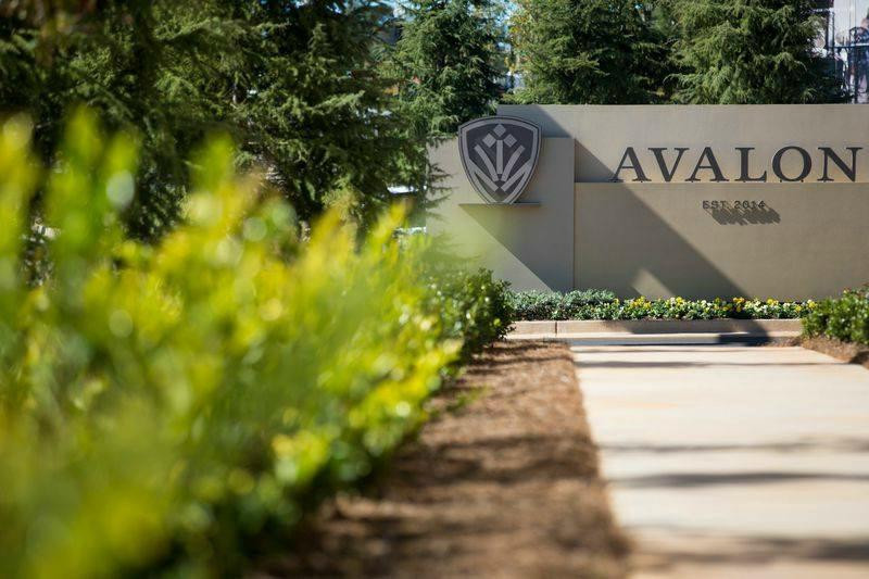 Avalon-阿尔法利塔必去景点