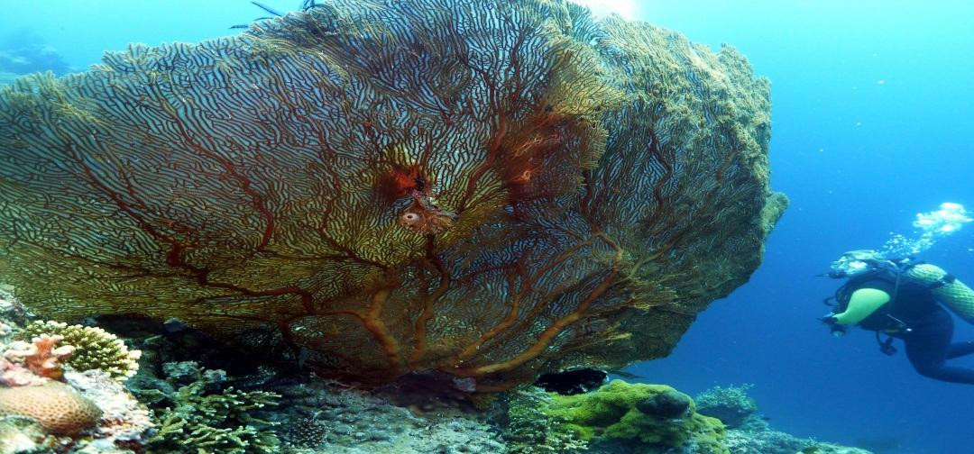Enbali - Day Tours-登巴萨必去景点