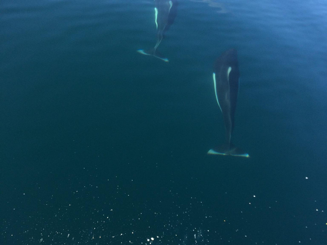 Northern Latitude Adventures-苏厄德必去景点