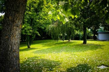 B&B Villa Magnolie主图