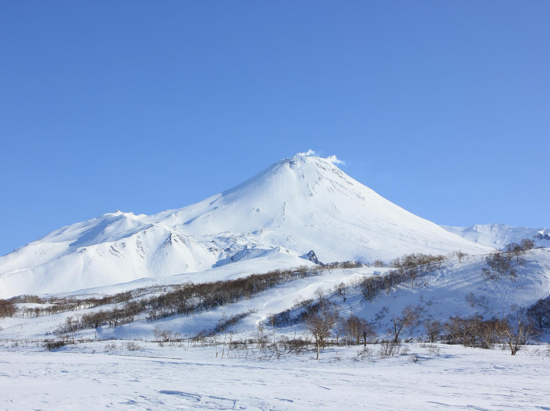 Avachinsky Volcano景点图片