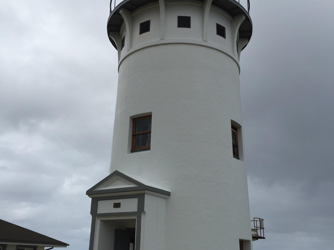 津劳也亚自然生物保护区-基拉韦厄必去景点
