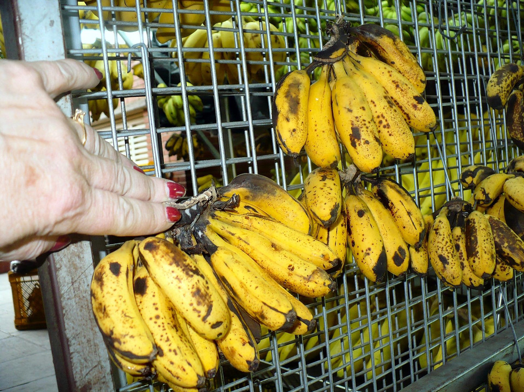 Mercado Municipal de Chacao-加拉加斯必去景点