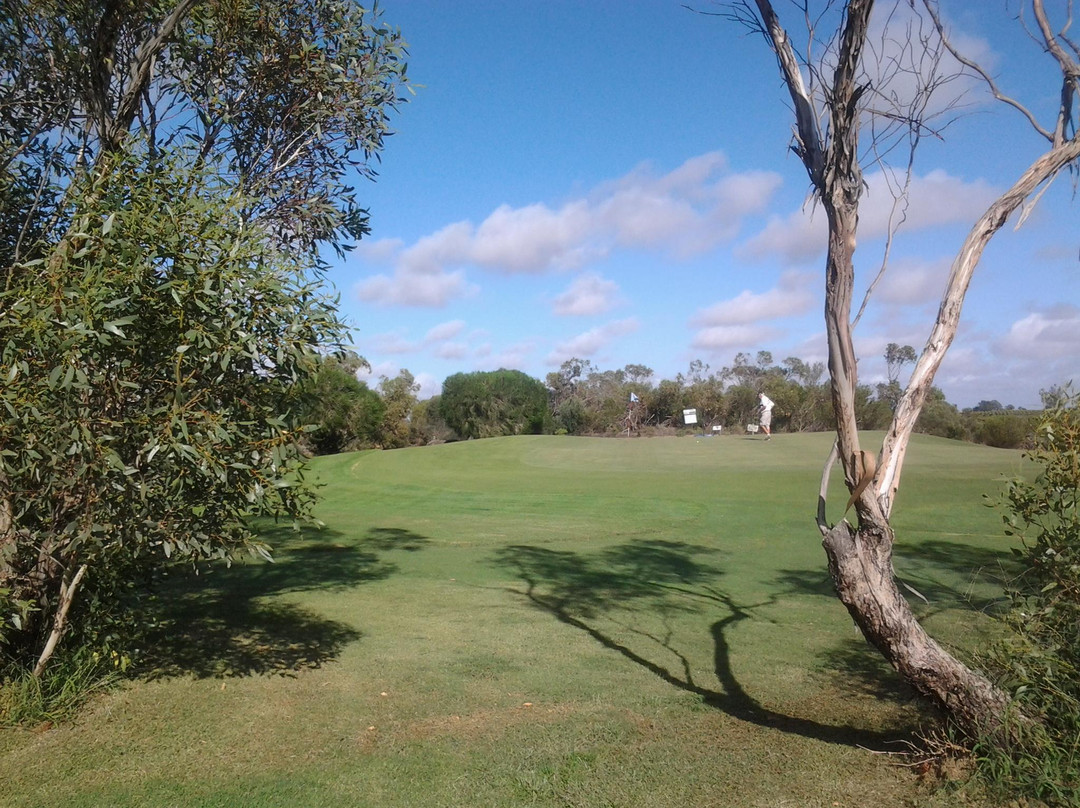 Waikerie Golf & Country Club景点图片