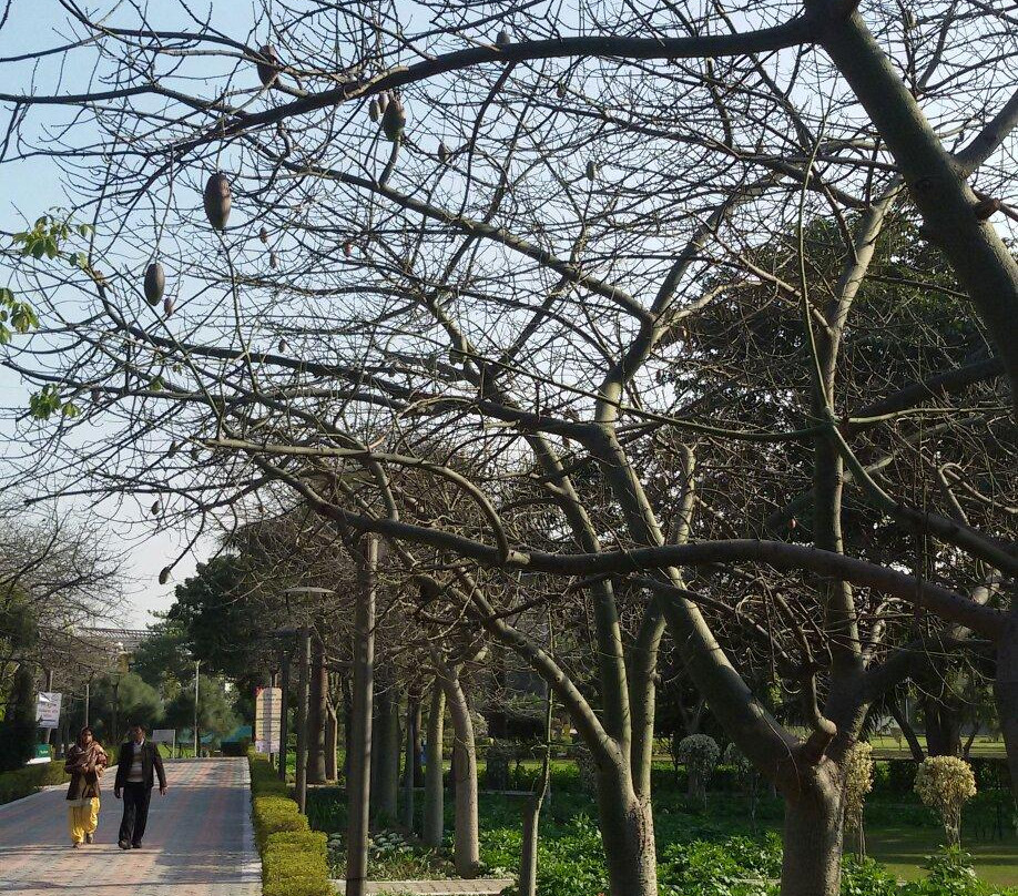 City Park景点图片