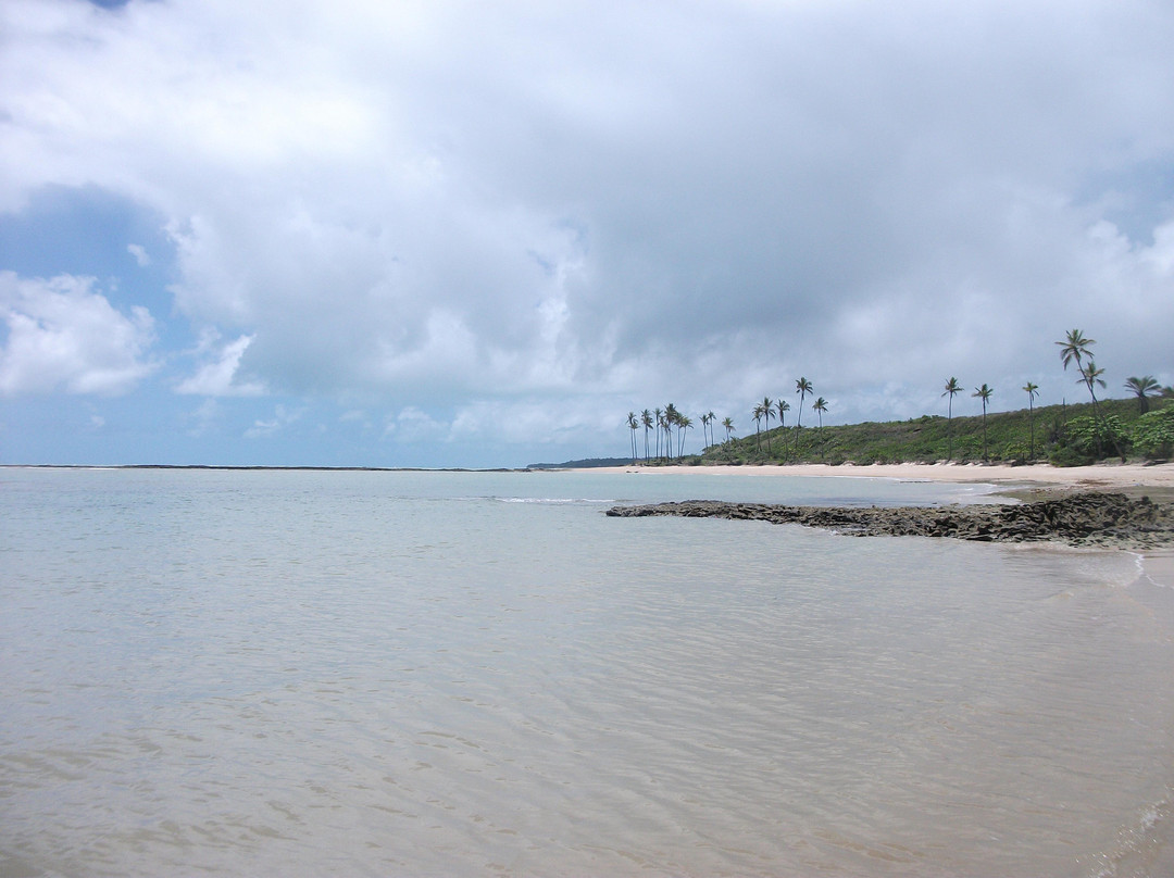 Moreira Beach-Cumuruxatiba必去景点