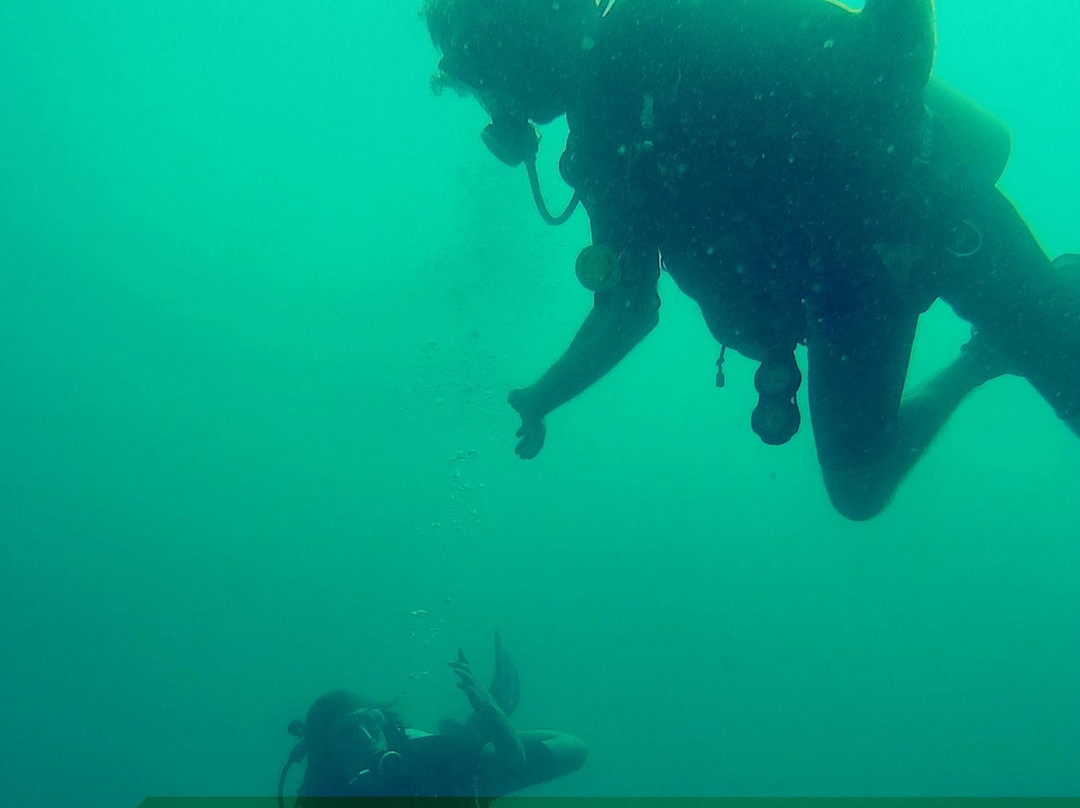 Epic Encounters Dive & Adventure Centre景点图片