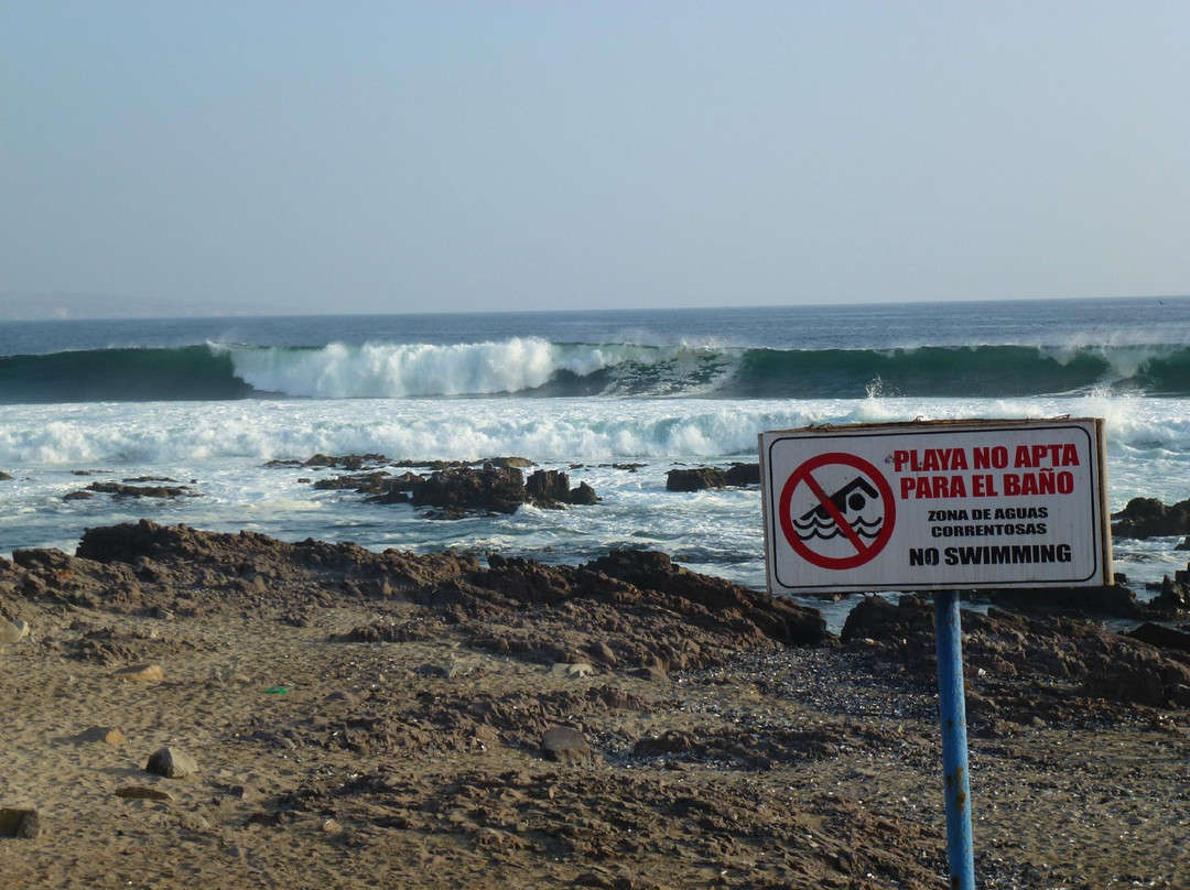 Playa Brava-伊基克必去景点