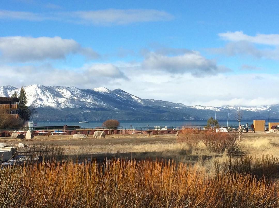 Bear Moon Bar And Grill