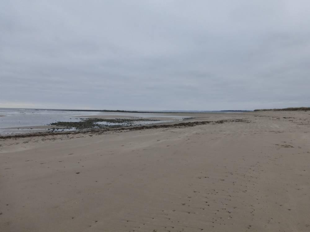 Conrad's Beach-Lawrencetown必去景点