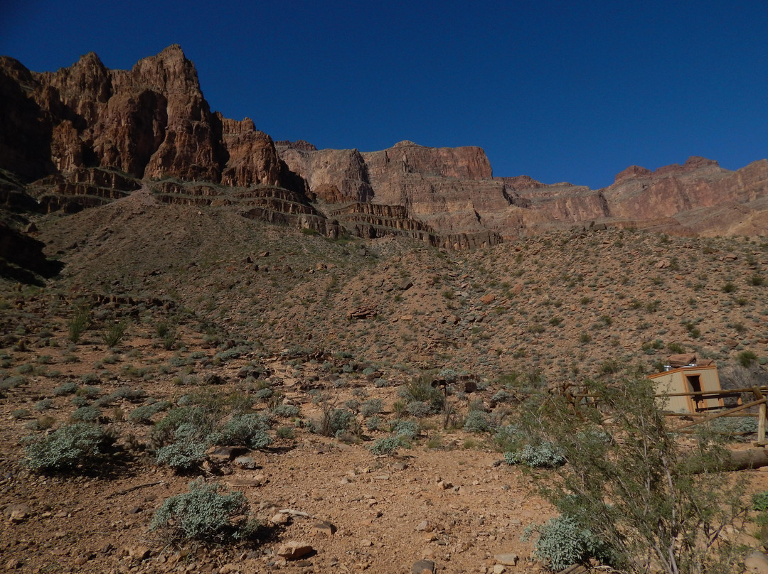 Arizona Grand Canyon Tours - Day Tour-凤凰城必去景点