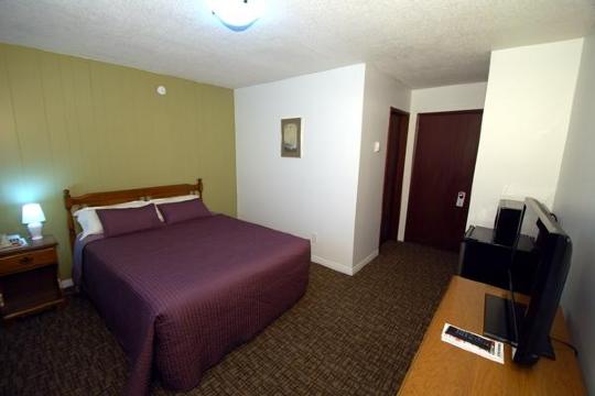 Grizzly Motel-客卧