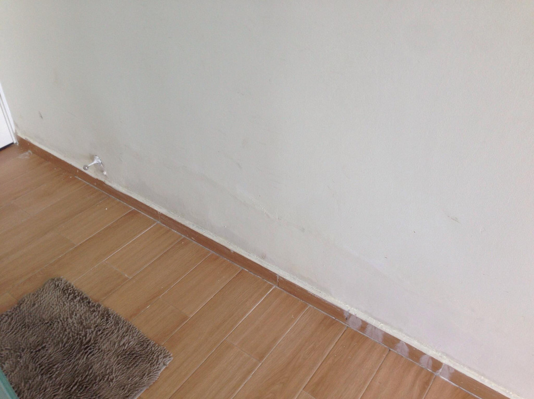 阿罗哈海滩俱乐部