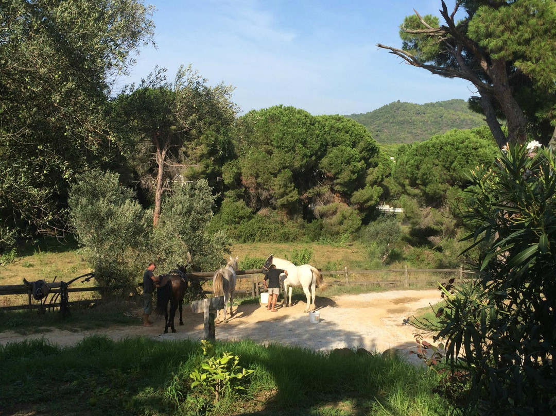 Skiathos Riding Centre-斯亚索斯必去景点