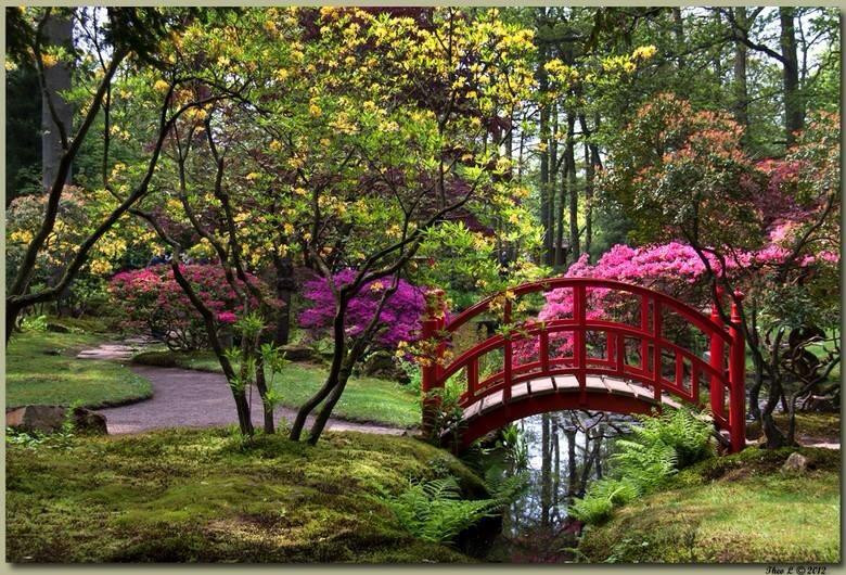 海牙日式花园景点图片