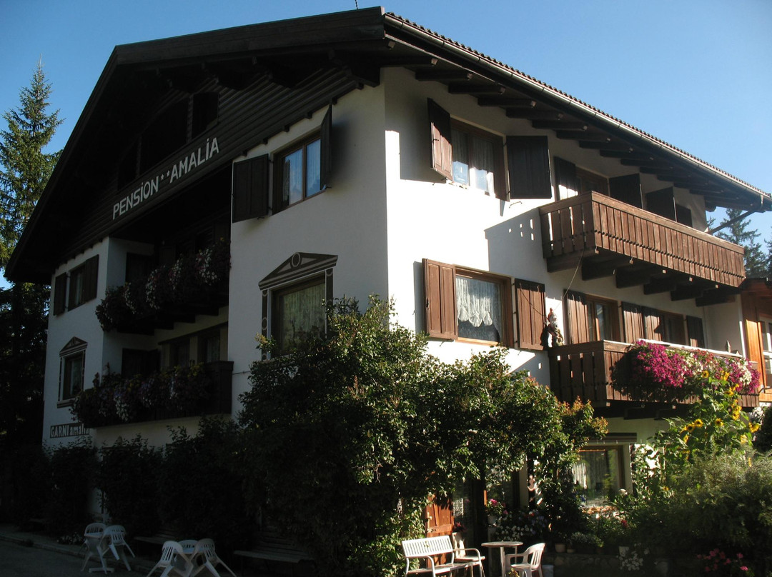 Pedraces酒店住宿-Pensione Amalia