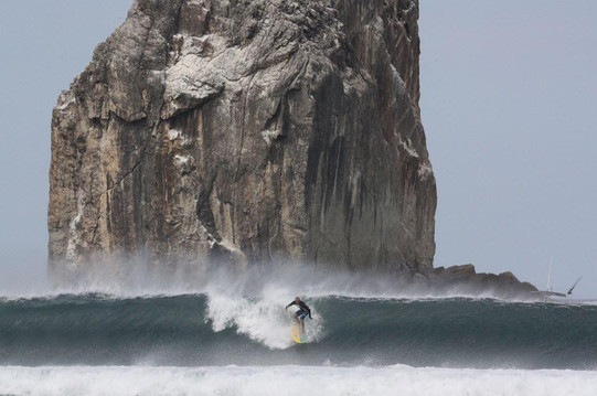 La Bruja Surf Trips-Playas del Coco必去景点