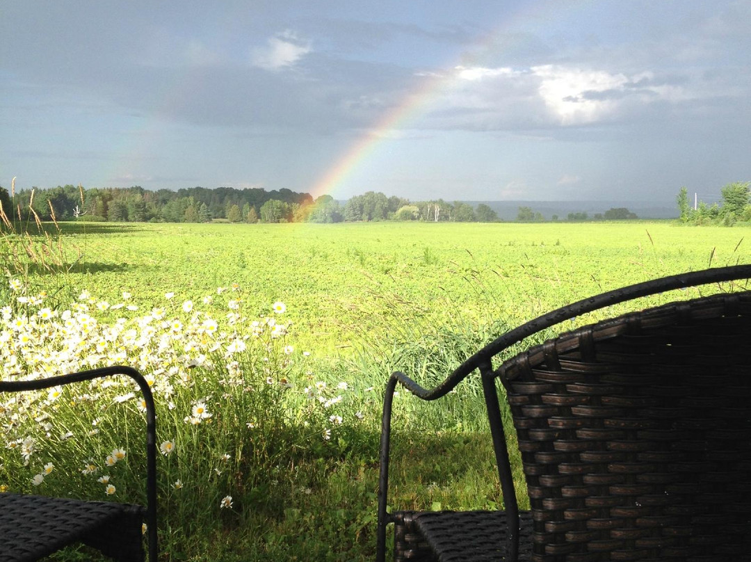 Country Blossom Bed & Breakfast主图