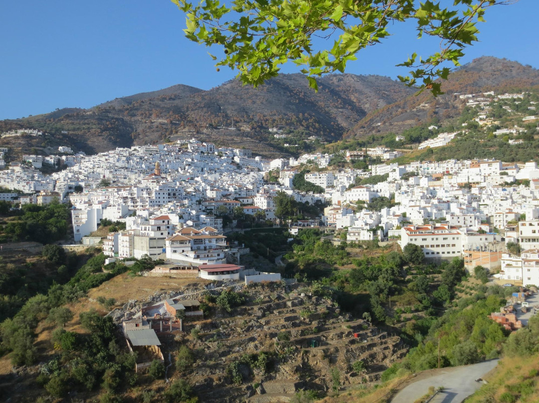 Ruta del Sol y del Vino景点图片