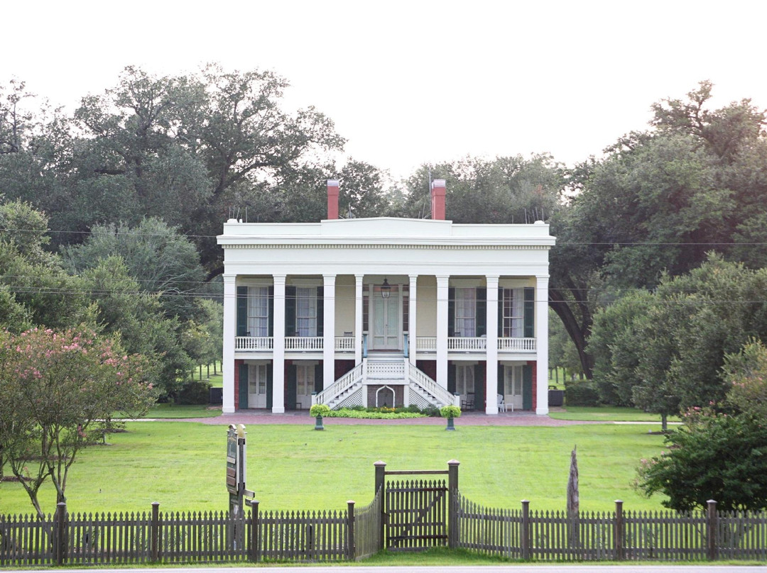 Bocage Plantation景点图片