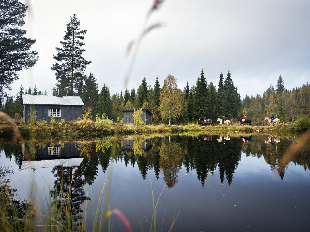 Trysil Hestesenter景点图片