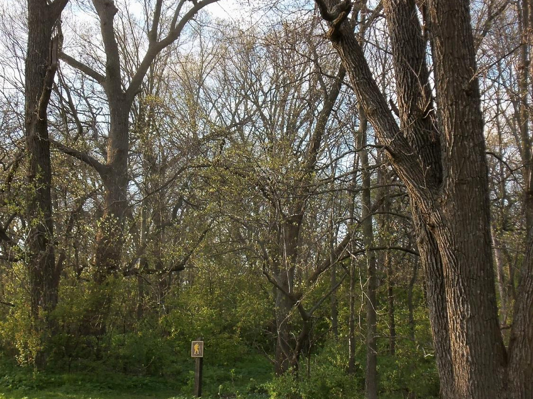 McIntosh Woods State Park-Ventura必去景点