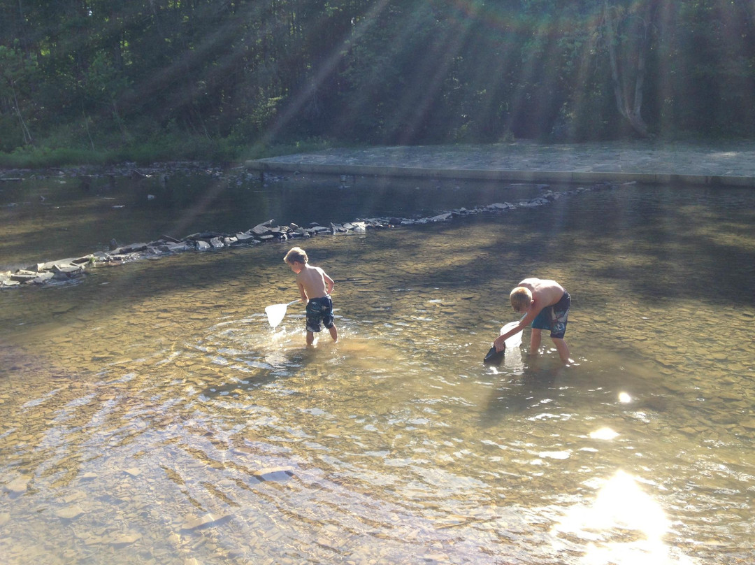 Blue Bend Recreation Area-White Sulphur Springs必去景点