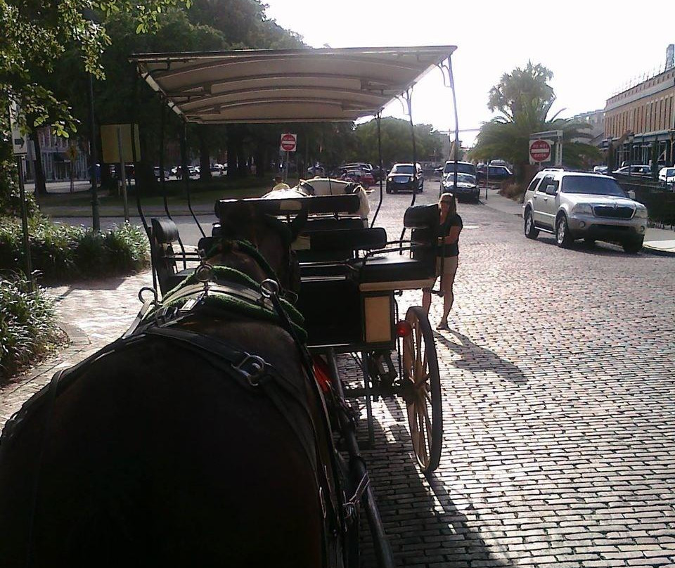 Savannah Carriage Tours-萨凡纳必去景点