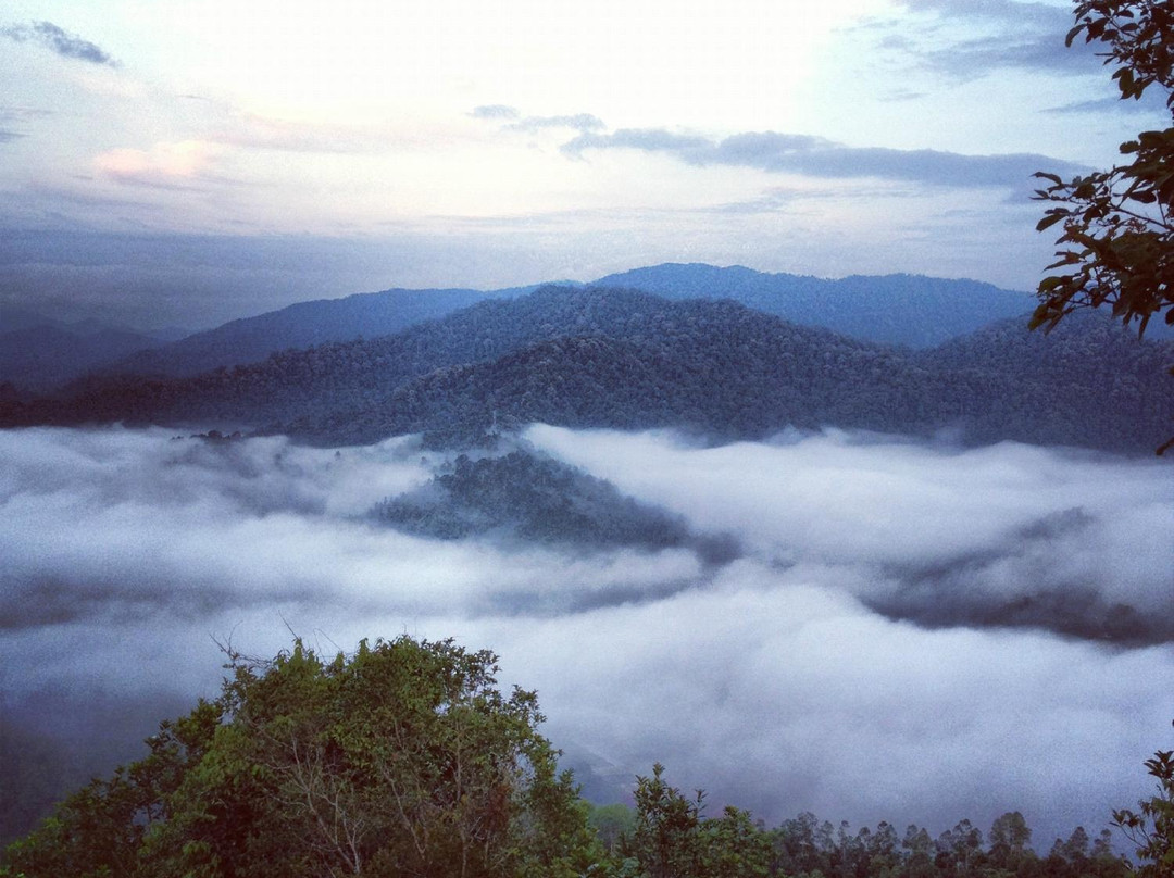 Bukit Panorama-Sungai Lembing必去景点