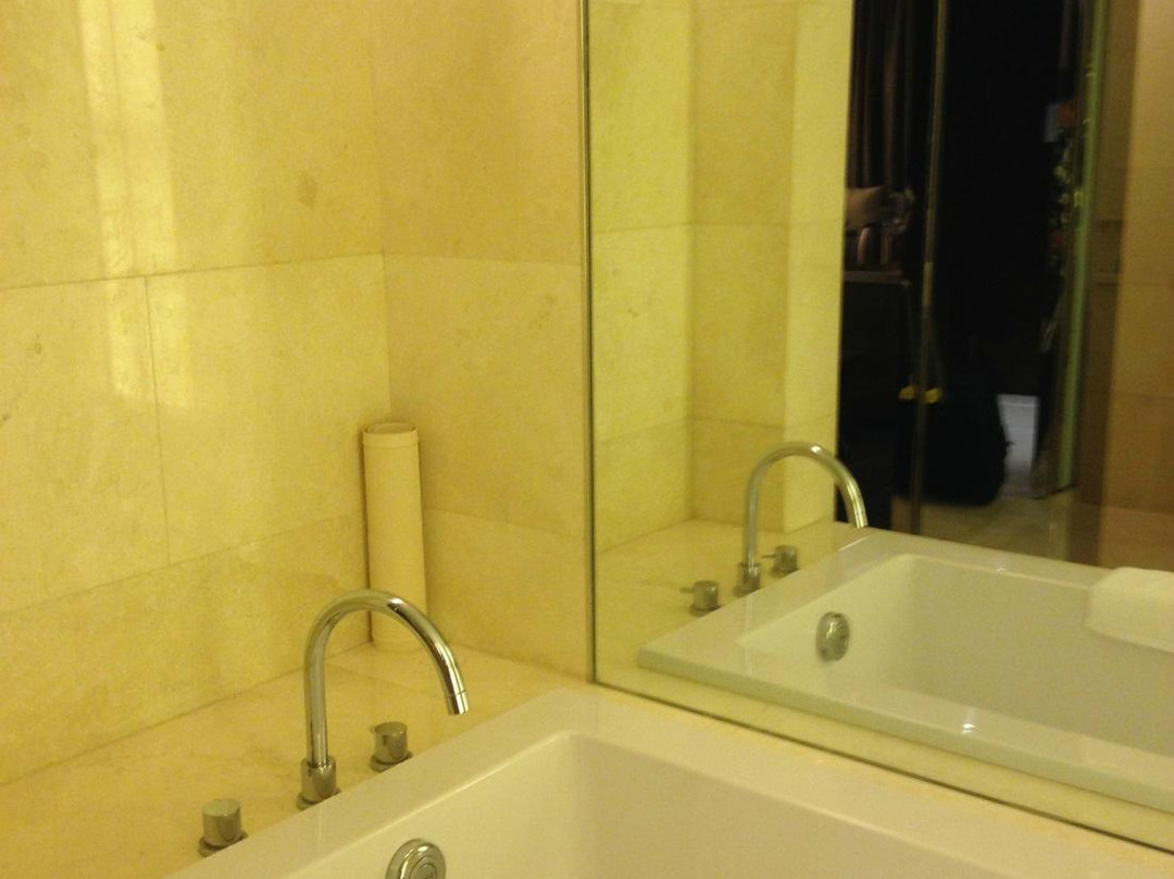 重庆丽笙世嘉酒店主图