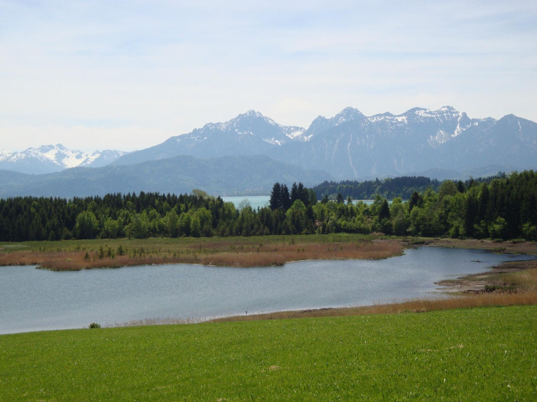 Forggensee Radweg-菲森必去景点