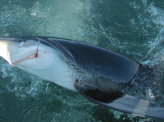 Diamond Pass Outfitters-南波特兰必去景点