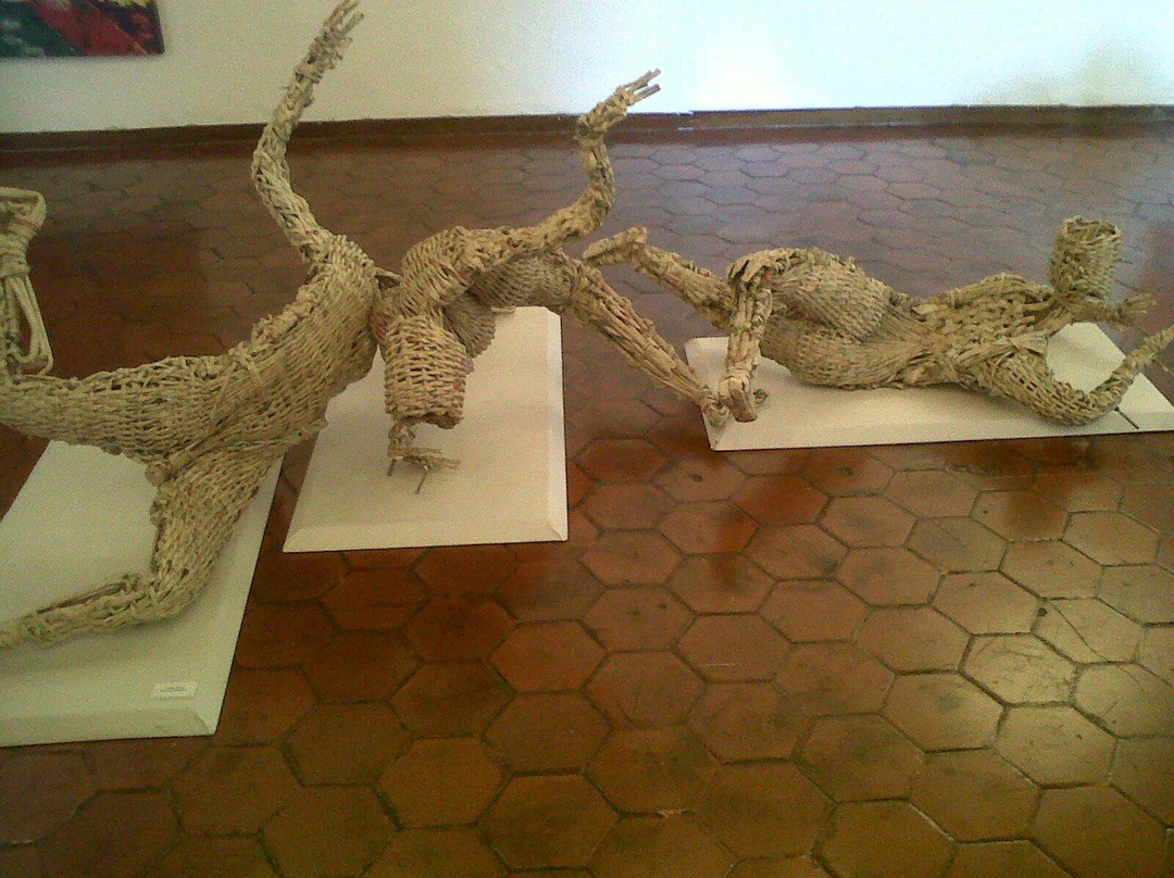 Museo de Barquisimeto景点图片