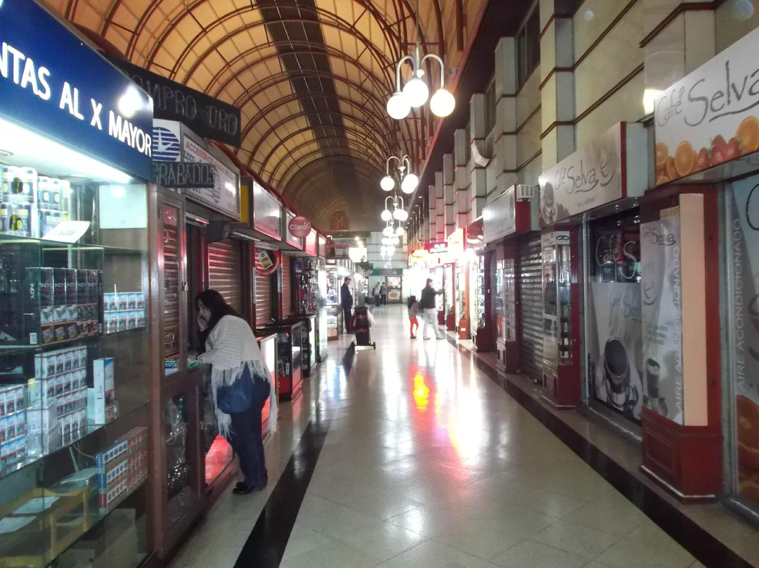 Pasaje Matte Galerias